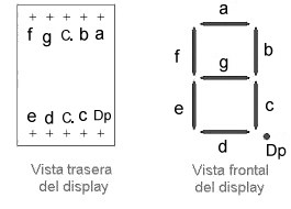 pines_display