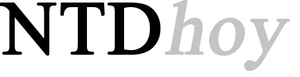 diarioelectronicohoy.com logo