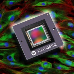 Sensores de imagen para condiciones de poca luz