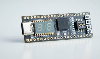 Placa de desarrollo STEPFPGA